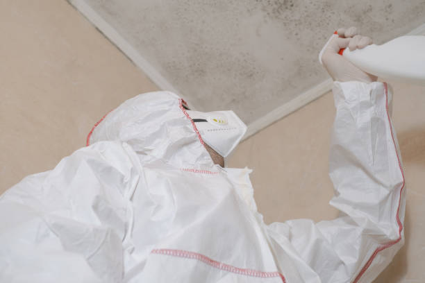 Best Post-Flood Mold Remediation in Fort Knox, KY